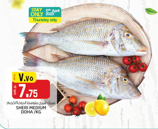 available at السعودية in قطر - الدوحة