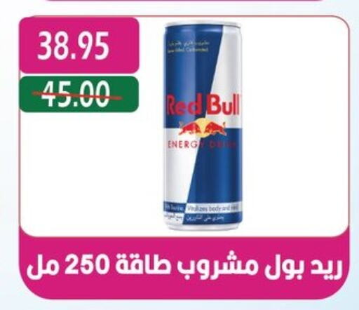 RED BULL available at Bashayer hypermarket in Egypt - Cairo