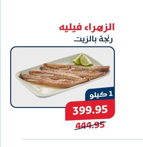 available at Exception Market in Egypt - Cairo