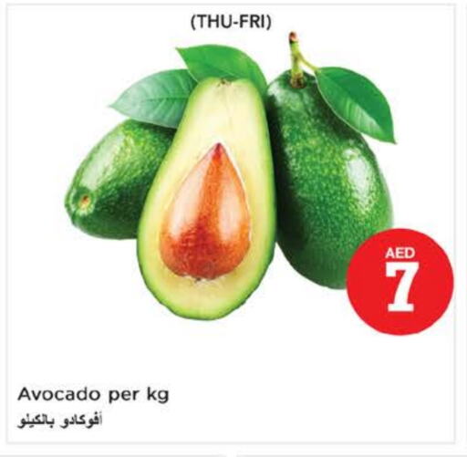 أفوكادو available at نستو هايبرماركت in الإمارات العربية المتحدة , الامارات - دبي