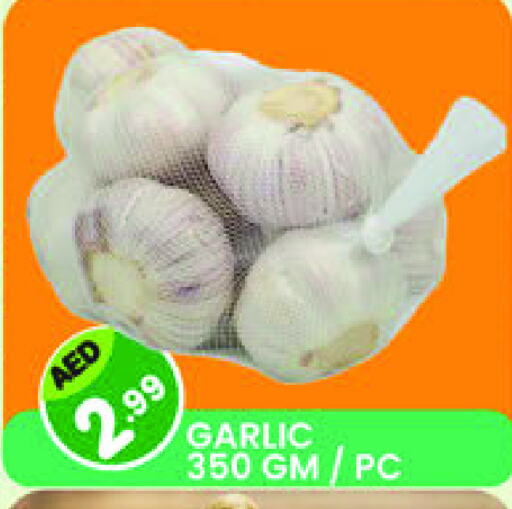 Garlic available at Baniyas Spike  in UAE - Umm al Quwain