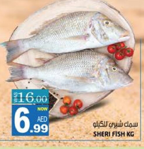 available at Hashim Hypermarket in UAE - Sharjah / Ajman