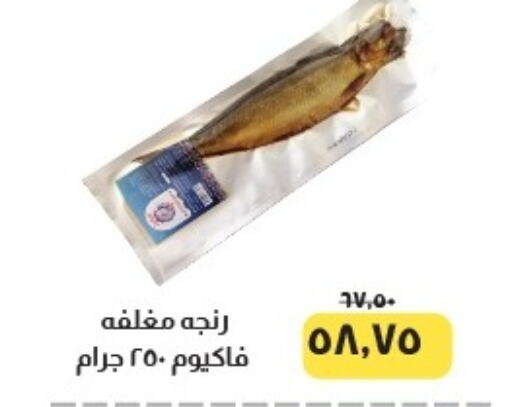 الأسماك الطازجة in خير زمان, Egypt Offers - Egypt available at خير زمان in Egypt - القاهرة