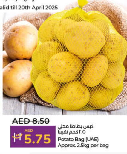 Potato available at Lulu Hypermarket in UAE - Fujairah