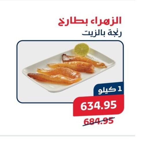 available at Exception Market in Egypt - Cairo
