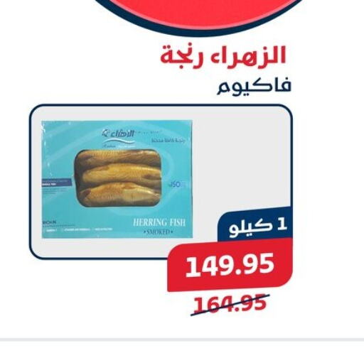 available at Exception Market in Egypt - Cairo