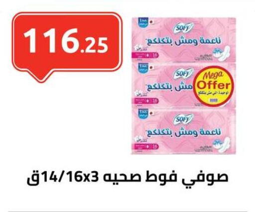 Feminine Hygiene in El-Hawary Market, Egypt Offers - Egypt SOFY available at El-Hawary Market in Egypt - Cairo