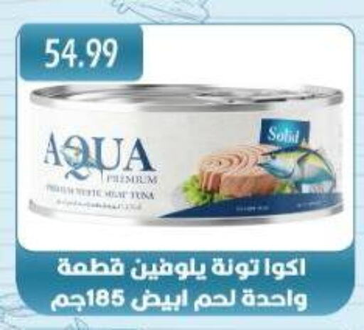 Canned & Packeted in Euromarche, Egypt Offers - Egypt Tuna - Canned available at Euromarche in Egypt - Cairo
