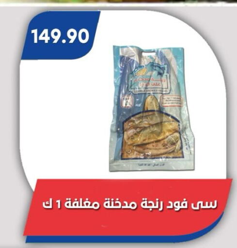 سمك مجمد in باسم ماركت, Egypt Offers - Egypt available at باسم ماركت in Egypt - القاهرة