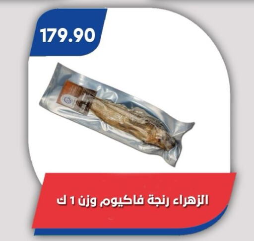 سمك مجمد in باسم ماركت, Egypt Offers - Egypt available at باسم ماركت in Egypt - القاهرة