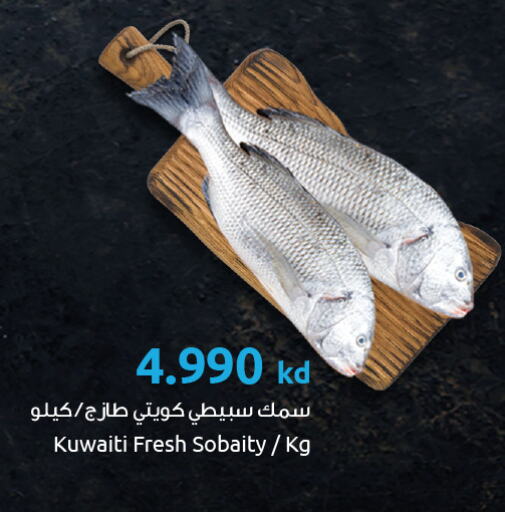 available at The Sultan Center in Kuwait - Jahra Governorate