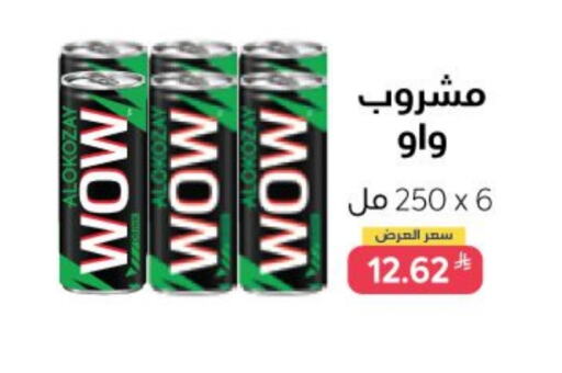 ALOKOZAY available at Alokozay in KSA, Saudi Arabia, Saudi - Jubail