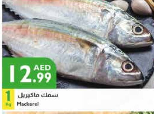 available at إسطنبول سوبرماركت in الإمارات العربية المتحدة , الامارات - ٱلْعَيْن‎
