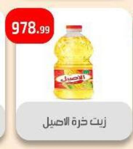 available at مؤسسة ايهاب البرنس in Egypt - القاهرة