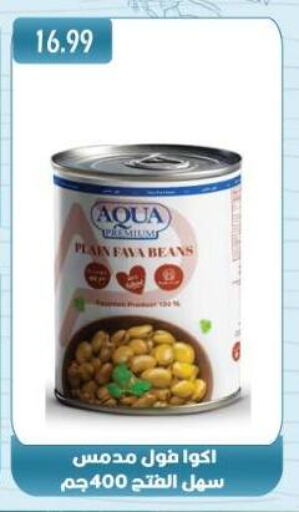 Canned & Packeted in Euromarche, Egypt Offers - Egypt Fava Beans available at Euromarche in Egypt - Cairo