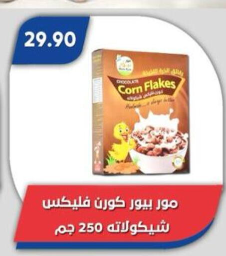 الحبوب والقطع in باسم ماركت, Egypt Offers - Egypt رقائق الذرة available at باسم ماركت in Egypt - القاهرة