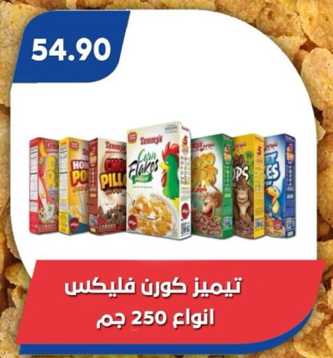 الحبوب والقطع in باسم ماركت, Egypt Offers - Egypt تيميز رقائق الذرة available at باسم ماركت in Egypt - القاهرة