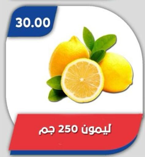 فاكهة طازجة in باسم ماركت, Egypt Offers - Egypt lemon available at باسم ماركت in Egypt - القاهرة
