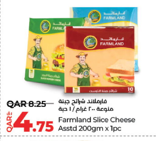 Slice Cheese available at LuLu Hypermarket in Qatar - Al Wakra