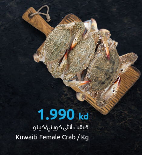available at The Sultan Center in Kuwait - Jahra Governorate