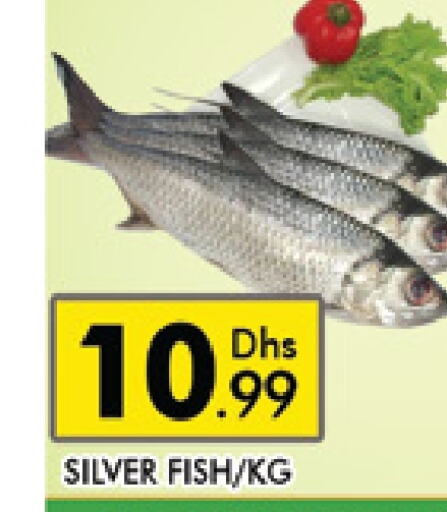 available at AL MADINA (Dubai) in UAE - Dubai