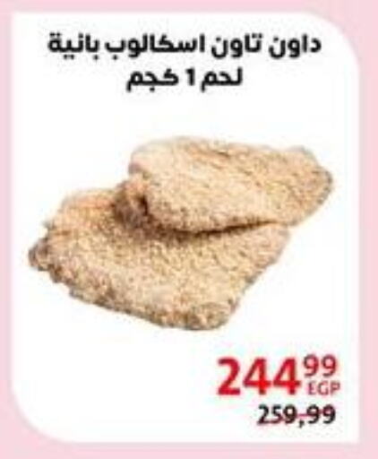 Meat - Fresh & Chilled in Arab DownTown, Egypt Offers - Egypt available at Arab DownTown in Egypt - Cairo