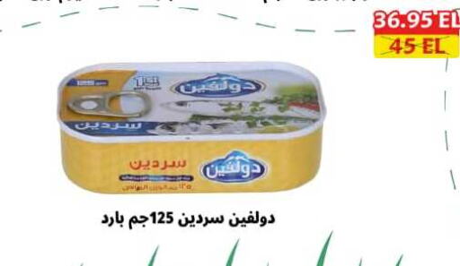 Canned & Packeted in Elomda Market , Egypt Offers - Egypt available at Elomda Market in Egypt - Cairo
