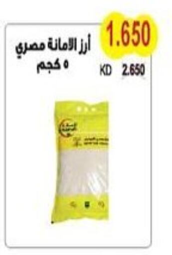 Calrose Rice available at Salwa Co-Operative Society  in Kuwait - Ahmadi Governorate