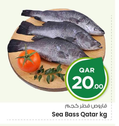 available at مارك & سيف in قطر - الدوحة