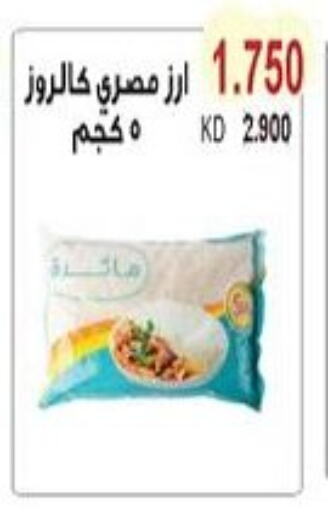 Calrose Rice available at Salwa Co-Operative Society  in Kuwait - Ahmadi Governorate