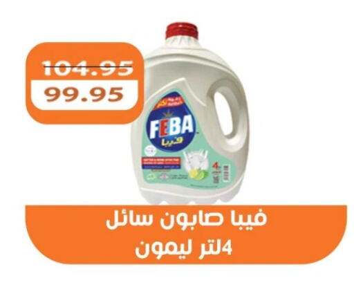 غسل الطبق in أبو صالح ألبان ماركت, Egypt Offers - Egypt available at أبو صالح ألبان ماركت in Egypt - القاهرة