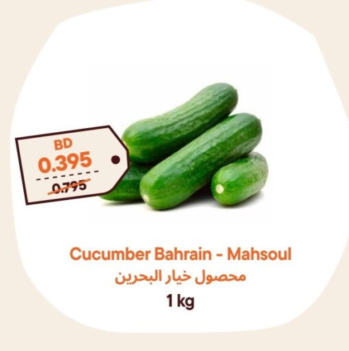 Cucumber from Bahrain available at Talabat Mart in Bahrain