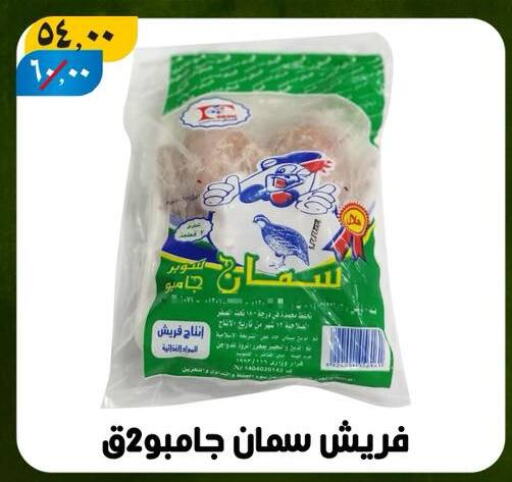 اللحوم المجمدة in هايبر مول, Egypt Offers - Egypt available at هايبر مول in Egypt - القاهرة