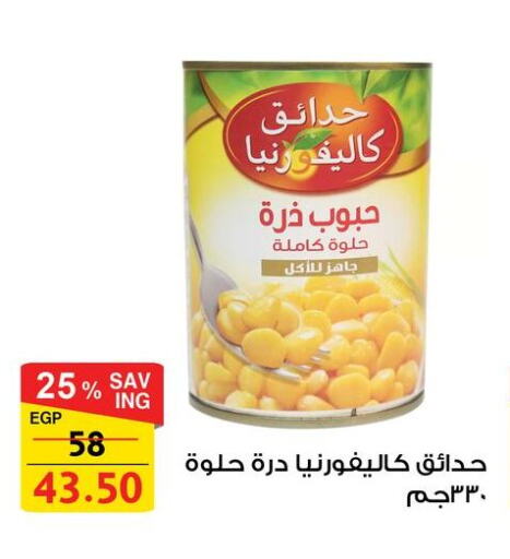 CALIFORNIA available at Fathalla Market  in Egypt - Cairo