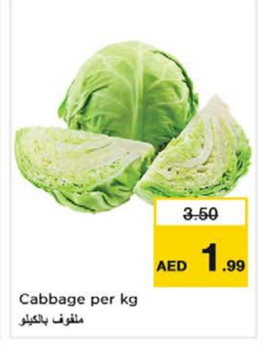 Cabbage available at Nesto Hypermarket in UAE - Al Ain