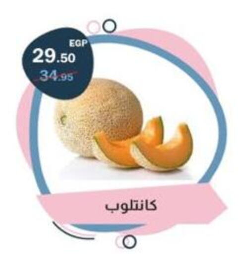 available at Flamingo Hyper Market in Egypt - Cairo