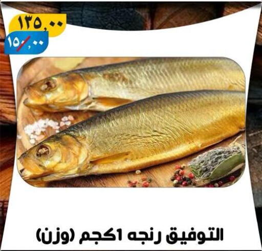 سمك مجمد in هايبر مول, Egypt Offers - Egypt available at هايبر مول in Egypt - القاهرة