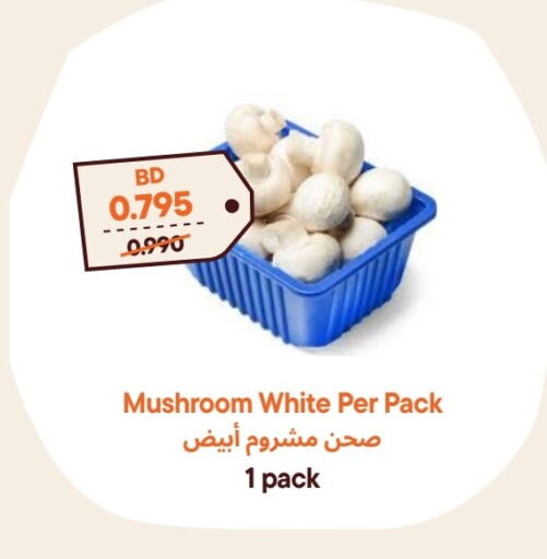 Mushroom available at Talabat Mart in Bahrain