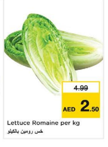Lettuce available at Nesto Hypermarket in UAE - Al Ain