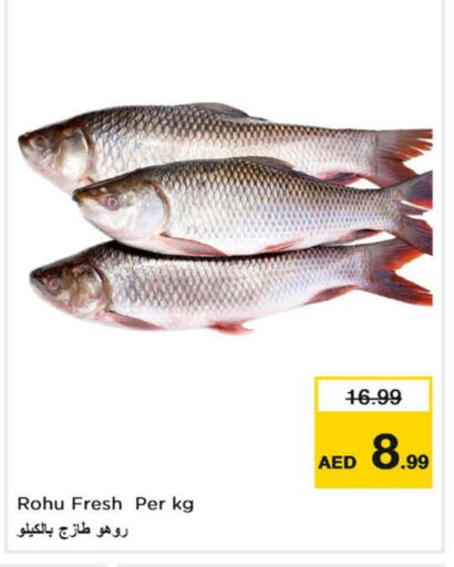 available at نستو هايبرماركت in الإمارات العربية المتحدة , الامارات - ٱلْفُجَيْرَة‎