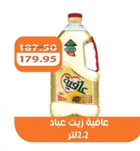 إندومي available at أبو صالح ألبان ماركت in Egypt - القاهرة