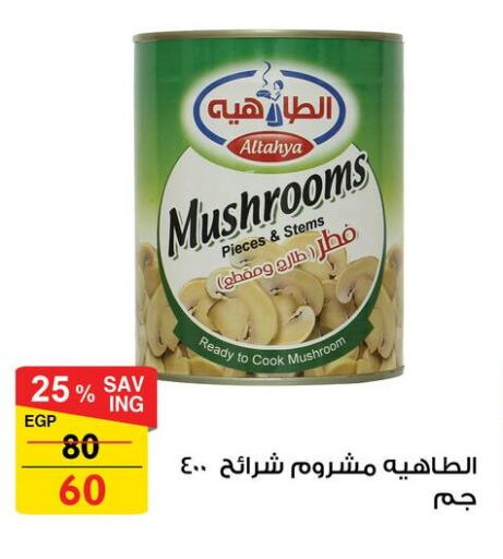 Mushroom available at Fathalla Market  in Egypt - Cairo