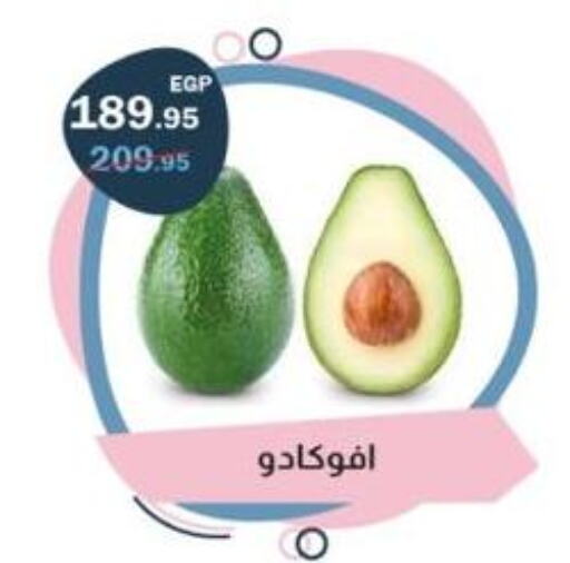 Avacado available at Flamingo Hyper Market in Egypt - Cairo