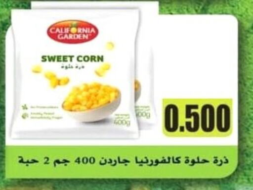 Frozen Fruits & Veg in Al Ardhiya coop , Kuwait Offers - Kuwait available at Al Ardhiya coop in Kuwait - Jahra Governorate