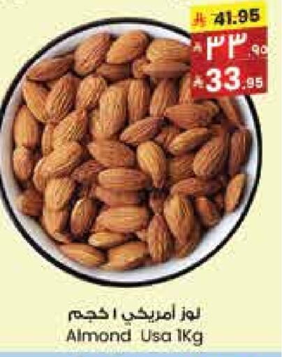available at City Flower in KSA, Saudi Arabia, Saudi - Dammam
