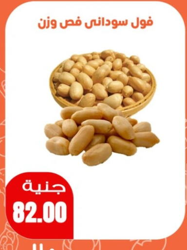 الفواكه المجففة و التمور in سوق غلاب, Egypt Offers - Egypt available at سوق غلاب in Egypt - القاهرة