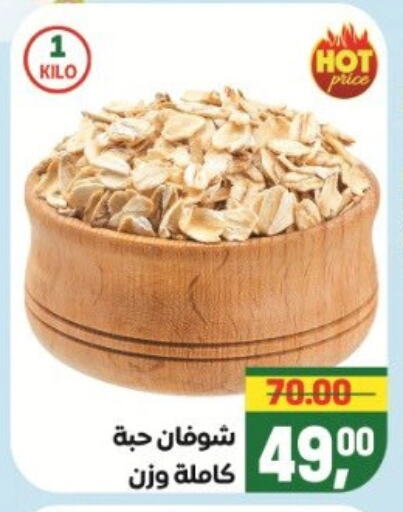 Oats available at Safeer market in Egypt - Cairo