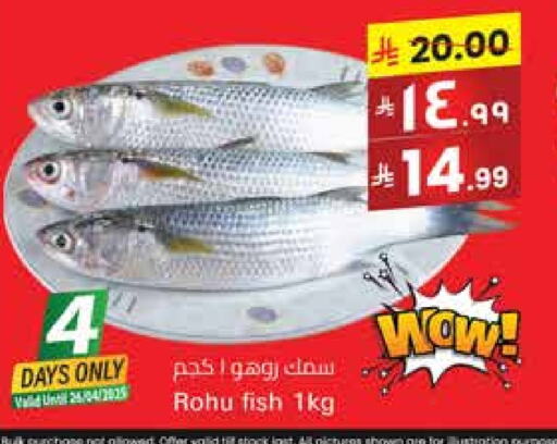 Fresh Fish in City Flower, Saudi Arabia Offers - Saudi Arabia available at City Flower in KSA, Saudi Arabia, Saudi - Sakaka