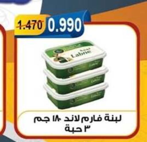 Yogurt & Labneh in Egaila Cooperative Society, Kuwait Offers - Kuwait Labneh available at Egaila Cooperative Society in Kuwait - Ahmadi Governorate