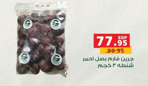 الخضروات الطازجة in بنده, Egypt Offers - Egypt بصل available at بنده in Egypt - القاهرة